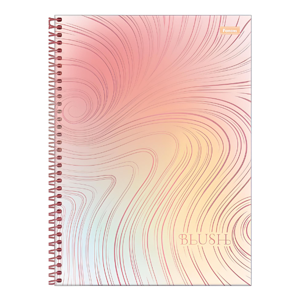 Caderno 10x1 Blush Foroni (Capa Sortida) - Imagem 5