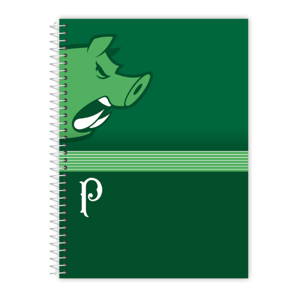 Caderno 1×1 Palmeiras Credeal - Imagem 7